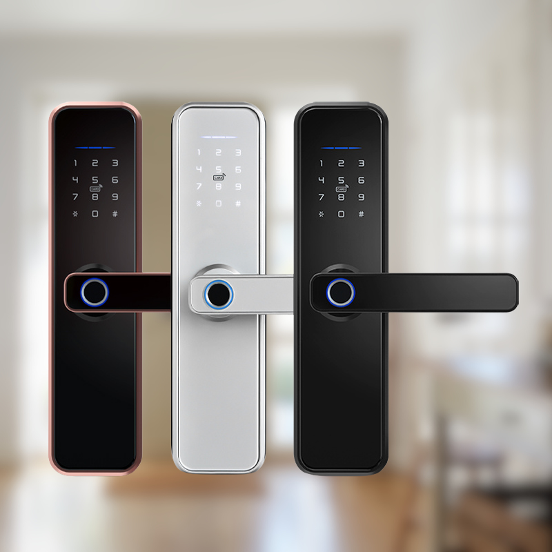 Smart Security Australia™ Smart Mortise Door Lock